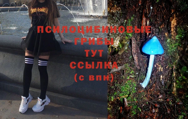 гашиш Каменногорск
