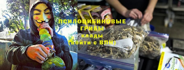 тгк Каменск-Шахтинский