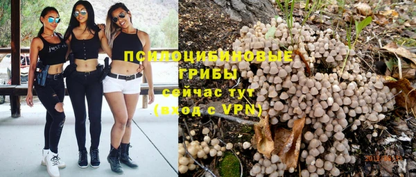 тгк Каменск-Шахтинский
